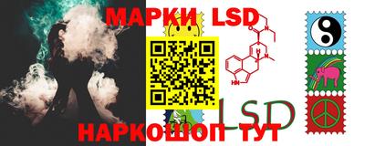 прущие грибы Гусиноозёрск