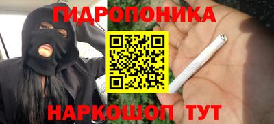 шишки Гусь-Хрустальный