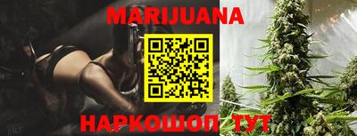 прущие грибы Гусиноозёрск