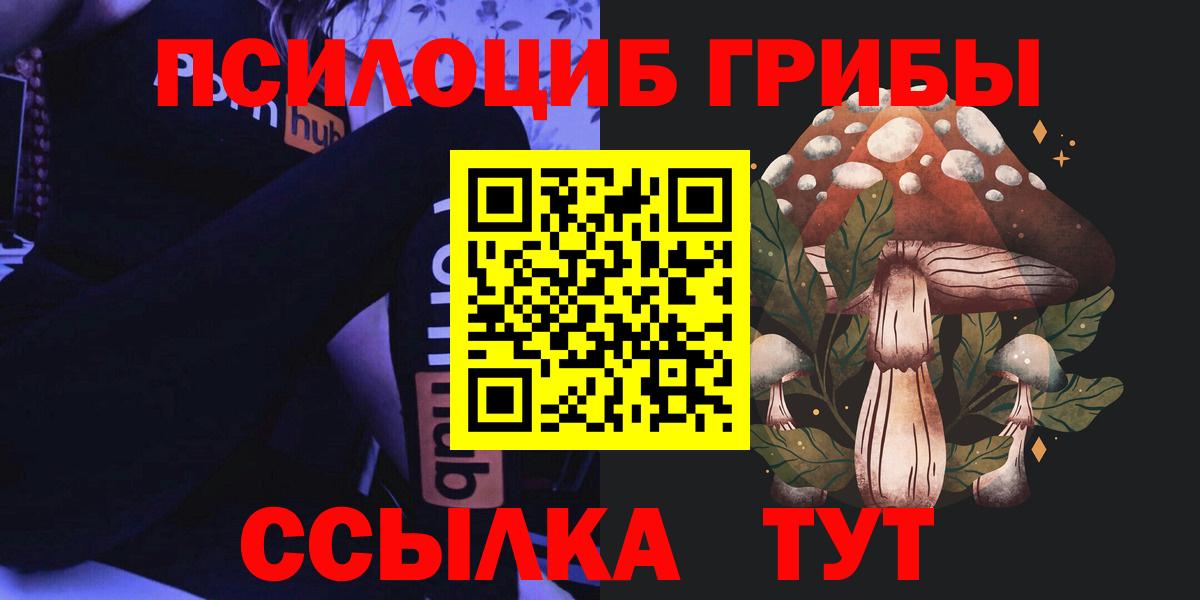 Наро-Фоминск  Псилоцибиновые грибы Psilocybe  Галлюциногенные грибы мухоморы  Вход с VPN 